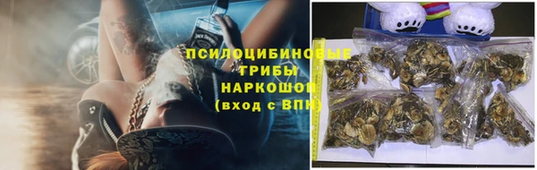 бошки Балахна