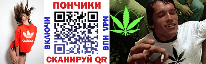 Бошки марихуана Amnesia  мориарти как зайти  Светогорск 